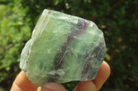 Natural Watermelon Fluorite Cobbed Specimens x 24 From Uis, Namibia