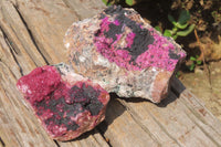 Natural Salrose Cobaltion Dolomite Specimens x 2 From Kakanda, Congo