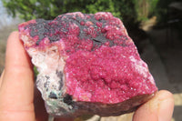 Natural Salrose Cobaltion Dolomite Specimens x 2 From Kakanda, Congo