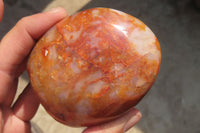 Polished Carnelian Standing Free Forms x 6 From Madagascar