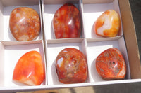 Polished Carnelian Standing Free Forms x 6 From Madagascar