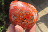 Polished Carnelian Standing Free Forms x 6 From Madagascar