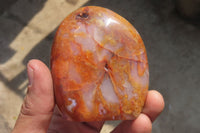 Polished Carnelian Standing Free Forms x 6 From Madagascar