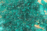 Natural Extra Large Emerald Dioptase Specimen x 1 From Congo