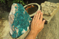 Natural XXL Emerald Dioptase Specimen x 1 From Congo