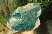 Natural XXL Emerald Dioptase Specimen x 1 From Congo