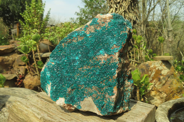 Natural Extra Large Emerald Dioptase Specimen x 1 From Congo