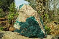 Natural XXL Emerald Dioptase Specimen x 1 From Congo