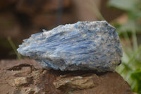 Natural Kyanite Matrix Specimens x 6 From Zimbabwe