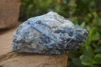 Natural Kyanite Matrix Specimens x 6 From Zimbabwe