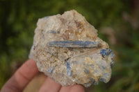 Natural Kyanite Matrix Specimens x 6 From Zimbabwe