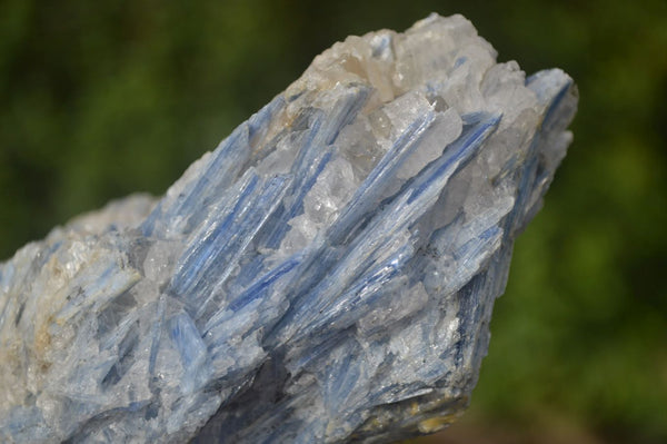 Natural Kyanite Matrix Specimens x 6 From Zimbabwe