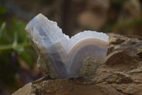 Natural Blue Lace Agate Geode Specimens x 24 From Malawi