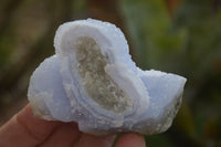 Natural Blue Lace Agate Geode Specimens x 24 From Malawi