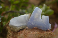 Natural Blue Lace Agate Geode Specimens x 24 From Malawi