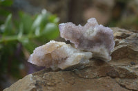 Natural Amethyst Spirit Quartz Clusters x 20 From Boekenhouthoek, South Africa