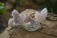 Natural Amethyst Spirit Quartz Clusters x 20 From Boekenhouthoek, South Africa