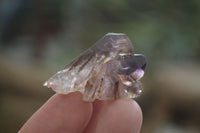 Natural Smokey Amethyst Crystals x 40 From Chiredzi, Zimbabwe