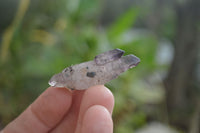 Natural Smokey Amethyst Crystals x 40 From Chiredzi, Zimbabwe