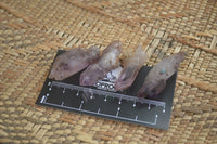 Natural Smokey Amethyst Crystals x 40 From Chiredzi, Zimbabwe