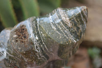 Polished Ocean Jasper Flame Sculpture x 1 From Madagascar