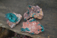 Natural Dioptase On Dolomite Specimens x 3 From Likasi, Congo