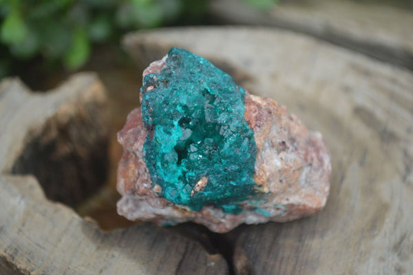 Natural Dioptase On Dolomite Specimens x 3 From Likasi, Congo