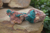 Natural Dioptase On Dolomite Specimens x 3 From Likasi, Congo