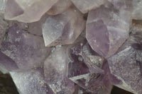 Natural Jacaranda Amethyst Clusters x 2 From Zambia