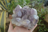 Natural Jacaranda Amethyst Clusters x 2 From Zambia