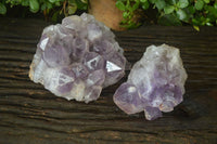 Natural Jacaranda Amethyst Clusters x 2 From Zambia