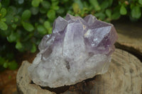 Natural Jacaranda Amethyst Clusters x 2 From Zambia