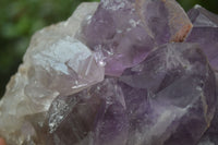 Natural Jacaranda Amethyst Clusters x 2 From Zambia