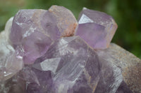 Natural Jacaranda Amethyst Clusters x 2 From Zambia