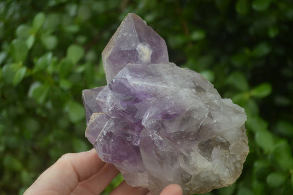 Natural Jacaranda Amethyst Clusters x 2 From Zambia