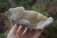 Natural Blue Lace Agate Geode Specimens x 5 From Malawi