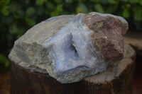 Natural Blue Lace Agate Geode Specimens x 5 From Malawi