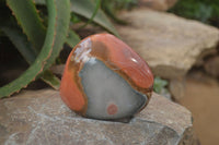 Polished On One Side Polychrome Jasper x 5 From Madagascar