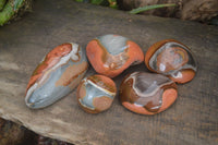 Polished On One Side Polychrome Jasper x 5 From Madagascar