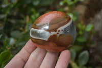 Polished On One Side Polychrome Jasper x 5 From Madagascar