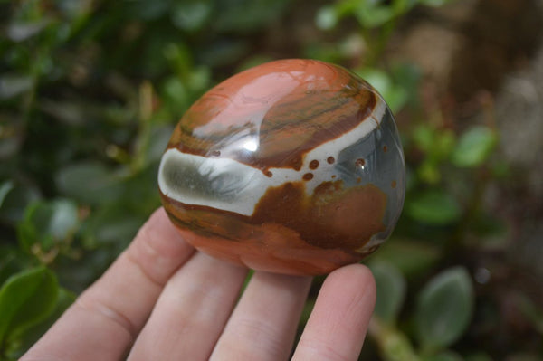 Polished On One Side Polychrome Jasper x 5 From Madagascar