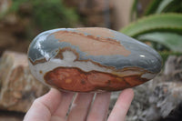 Polished On One Side Polychrome Jasper x 5 From Madagascar