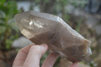 Natural Smokey Quartz Crystals x 4 From Zomba, Malawi