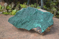 Natural Botryoidal Malachite Specimen x 1 From Tenke Fungurume, Congo