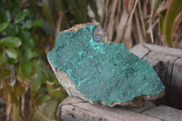 Natural Botryoidal Malachite Specimen x 1 From Tenke Fungurume, Congo