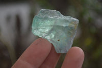 Natural Watermelon Fluorite Cobbed Specimens x 24 From Uis, Namibia