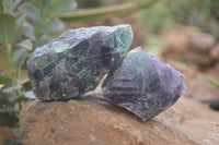 Natural Watermelon Fluorite Cobbed Specimens x 24 From Uis, Namibia