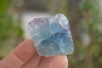 Natural Watermelon Fluorite Cobbed Specimens x 24 From Uis, Namibia