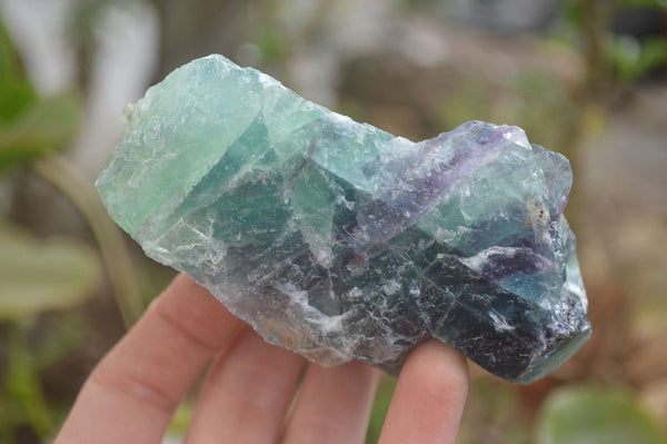 Natural Watermelon Fluorite Cobbed Specimens x 24 From Uis, Namibia