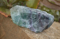 Natural Watermelon Fluorite Cobbed Specimens x 24 From Uis, Namibia